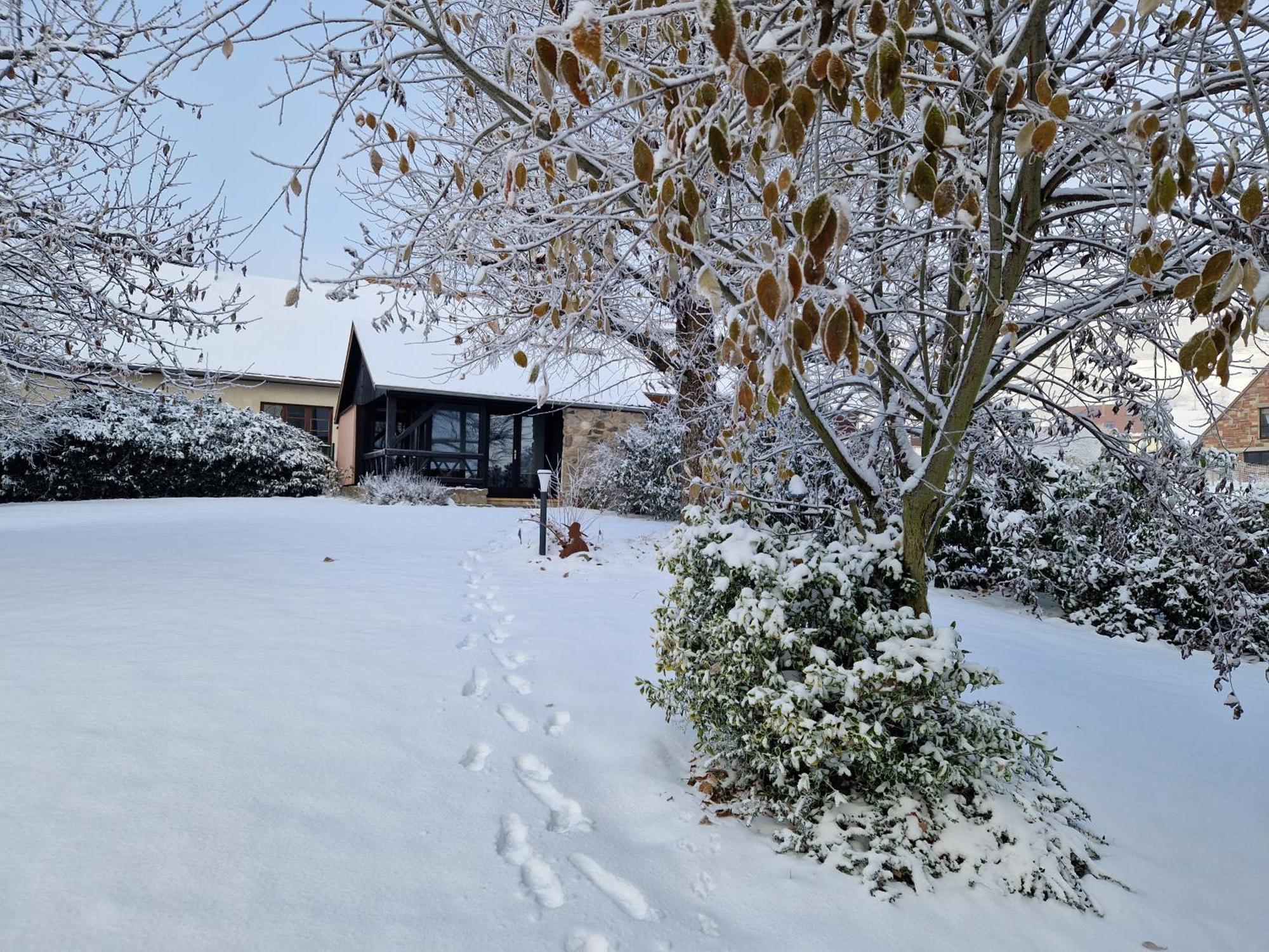 Le Breit Maison De Charme Avec Sa Dependance Breitenbach Kültér fotó