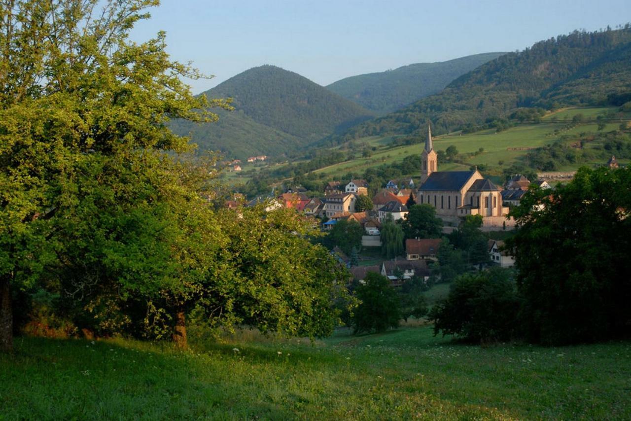 Le Breit Maison De Charme Avec Sa Dependance Breitenbach Kültér fotó